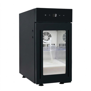 BR9CN 9L Glass Door Commercial Milk Cooler for Cafe