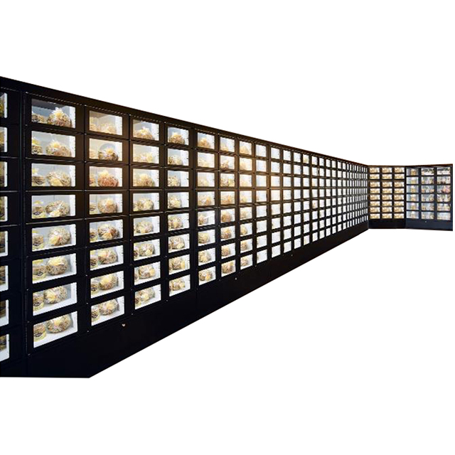 BV4600 Black modular smart locker vending system, multi-unit configuration for high-volume fresh produce retail