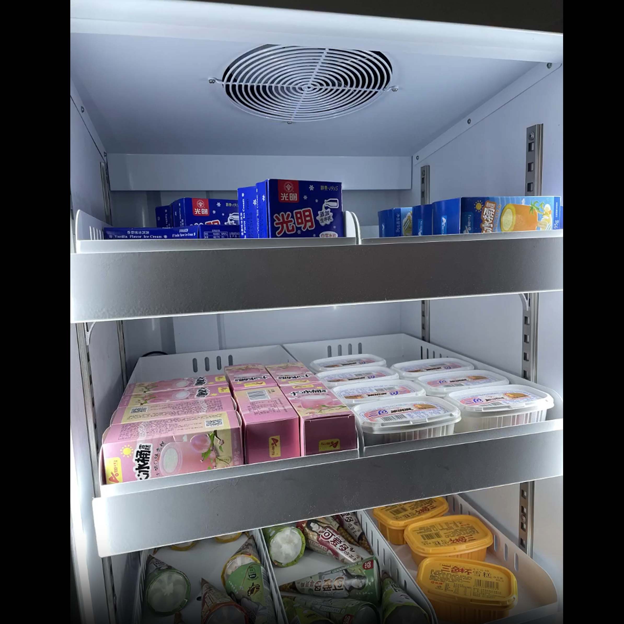 ZV-428FW 428L large capacity freezer interior - frozen food vending cabinet